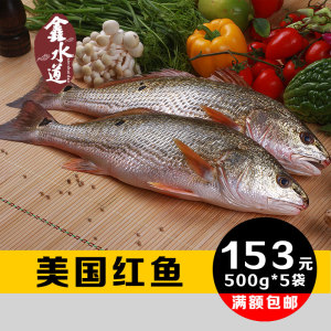 红古鱼的营养价值图片