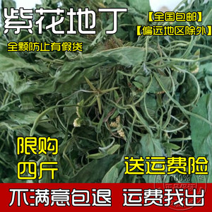 紫花地丁 草苦地丁 草铧头草 光瓣堇菜犁头草 500g包邮