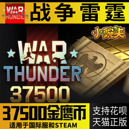 战争雷霆金鹰 steam品牌店铺