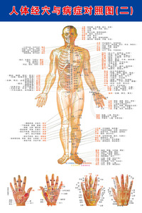 人体经穴与病症对照图(二)针灸经络穴位图挂图中医养生保健海报