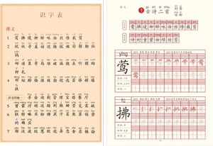 小学语文详案_科教导刊科教文汇_语文学科教案范文