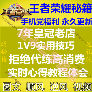 王者荣耀代练攻略秘籍教程套路英雄排位上分收徒技巧符文教学视频