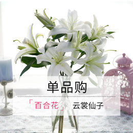 每周一束花品牌店铺