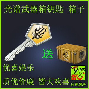 csgo 钥匙 光谱武器箱钥匙 道具key spectrum case key 箱子钥匙