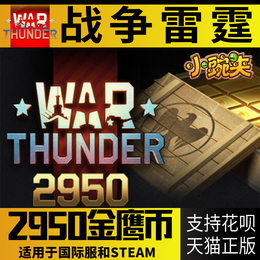 战争雷霆金鹰 steam品牌店铺