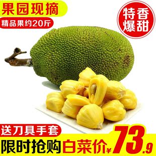 【菠萝蜜】菠萝蜜价格\/图片-牛大婶