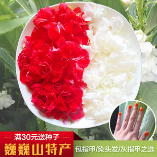 新鲜白色凤仙花鲜指甲草花染指甲红色凤仙花指甲花现摘花瓣包邮