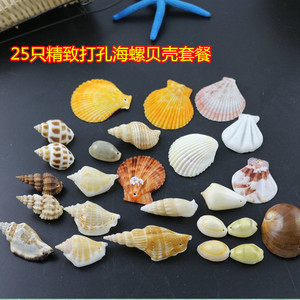 家居个性白色大海罗海螺贝壳类装饰品盒子制作组合无孔串珠大号小