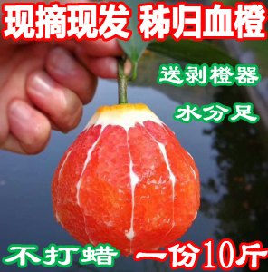 血橙新鲜10斤秭归脐橙红心大个中华红肉甜橙子当季水果现摘超赣南新鲜橙子