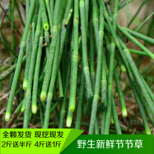 草药