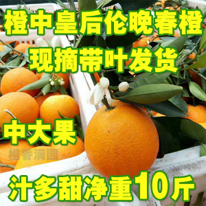 净重10斤伦晚春橙现摘汁多甜中大果包邮脐橙新鲜橙子孕妇宝宝水果新鲜橙子