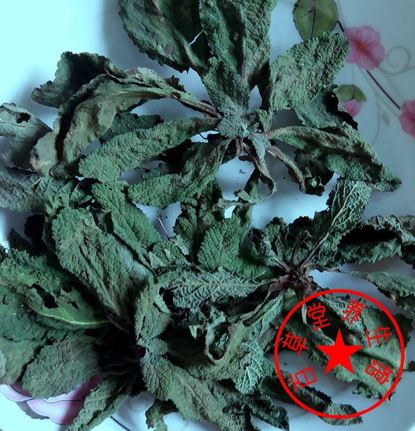 伏牛山野生荔枝草癞蛤蟆草皱皮草青蛙草蟾蜍草500克干品包邮