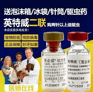 正品进口荷兰英特威二联疫苗2联育苗宠物狗育苗预防犬瘟细小幼犬