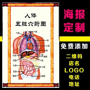  span class=h>人体 /span>内脏解剖五脏六腑医学宣传挂 span class=h