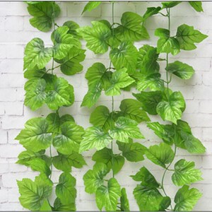 装饰叶塑料树叶绿植壁挂葡萄滕条假花藤 span class=h>仿真 /span> 图片