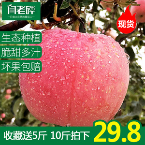 闫老碎 新鲜水果陕西红富士苹果10斤一箱冰糖心丑平果批发非烟台红富士新鲜水果