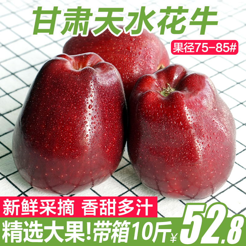 【甘福园】甘肃天水花牛苹果新鲜水果红蛇果带箱10斤礼县批发包邮
