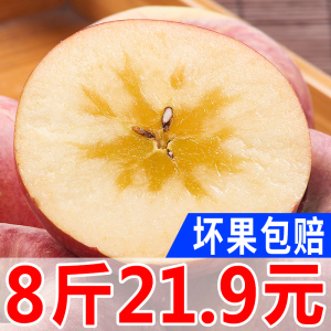 新鲜当季苹果水果现摘陕西红富士丑苹果一整箱批发包邮约8斤红富士新鲜水果