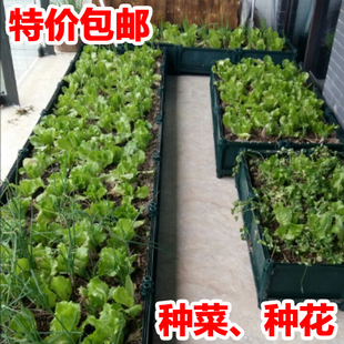 阳台种菜盆长方形 特大花盆种菜设备楼顶 蔬菜种植箱菜园阳台菜盆