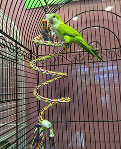 class=h></p></a>绳索 /span>  span class=h>鹦鹉 /span>玩具旋转梯金刚 span