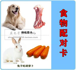 动物食物配对吃什么自闭症认知 span class=h>卡片 /span>儿童孤独症