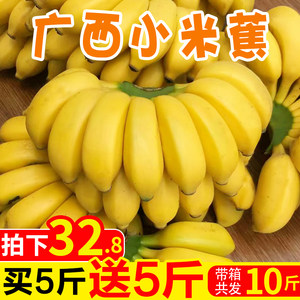 攻略10册中国书籍体育游戏绘本传统全套3-6岁完美儿童演員图片
