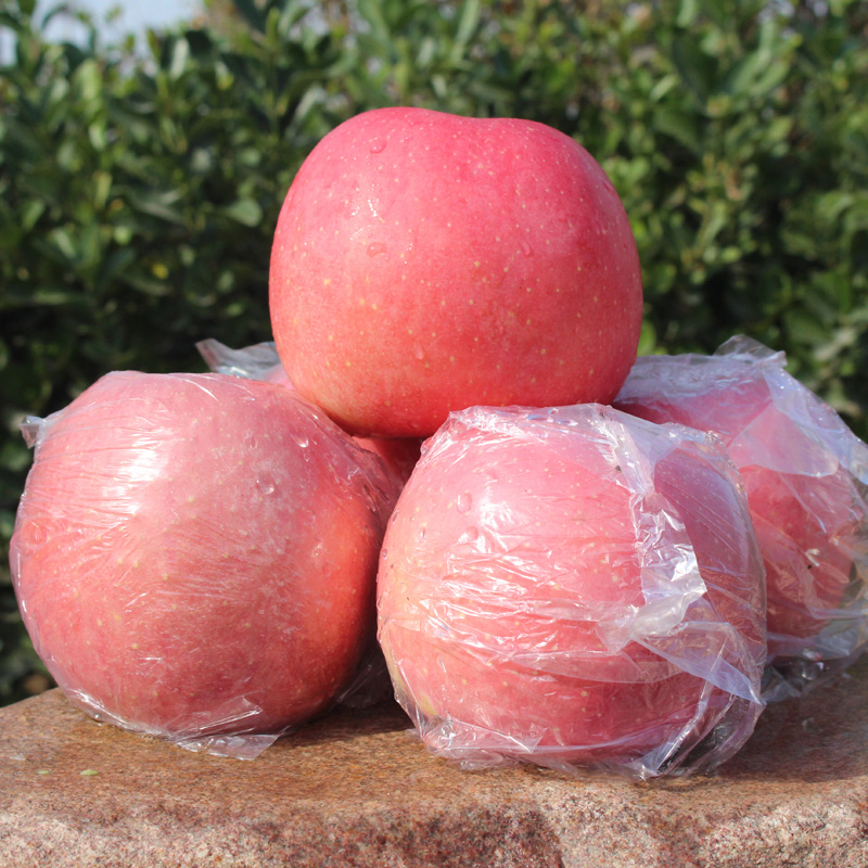 现摘红富士水晶富士冰糖心大苹果脆甜孕妇水果买一送一共10斤包邮