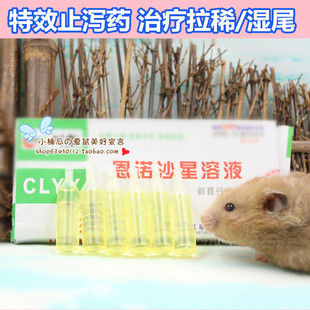 特效止泻药拉肚子仓鼠熊刺猬兔兔松鼠荷兰猪拉稀湿尾恩诺沙星单只