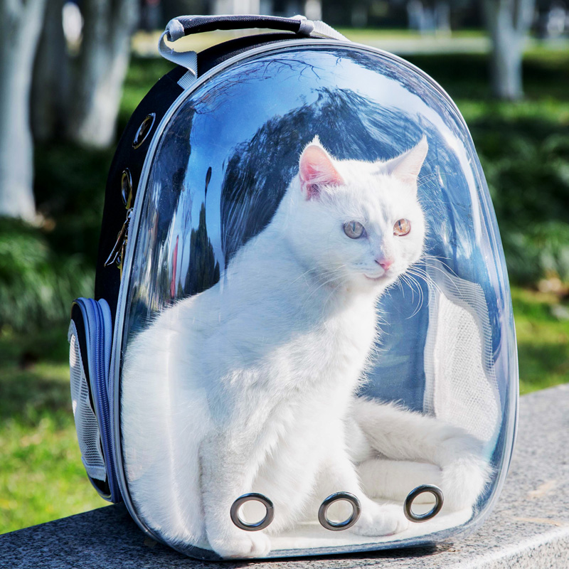 猫包外出便携全景透明猫咪背包太空宠物舱携带狗双肩猫笼子猫书包