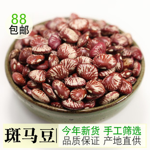 云南斑马豆大粒新货500g神豆花豆肾豆菜豆精选优质农家自产扁豆类