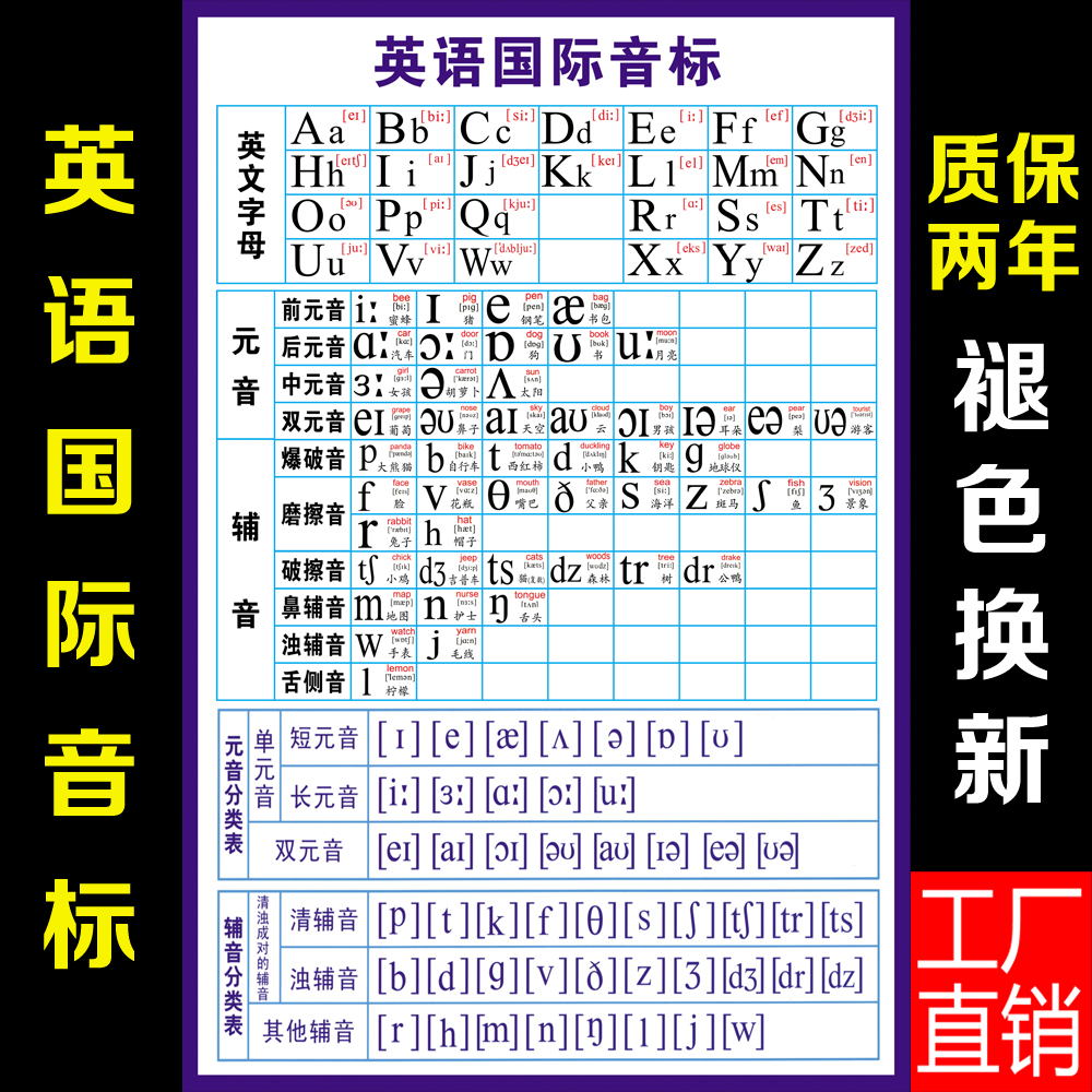 英语音标表墙贴26个48个英文字母表国际英语音标挂图小学生学习