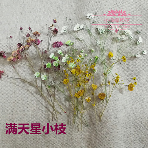 满天星花枝押花花材diy干花植物标本学生diy立体贺卡书签滴胶干花