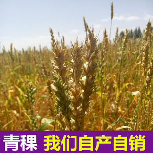 淘宝 青穗 青稞面 速食面  青海五谷杂粮 200克/袋 买30袋包邮 裸大麦