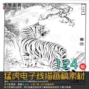 虎虎生威老虎猛虎电子线描画稿临摹练习上色白描素材124张 117m