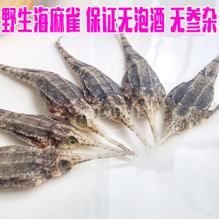 10克野生海燕海麻雀泡酒料海产品海鲜干货有海龙海蛇海星海龙卖