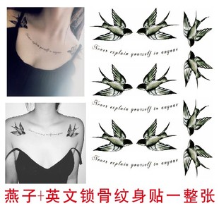 英文燕子纹身贴胸口锁骨纹身刺青女孩子个性小鸟翅膀性感纹身防水