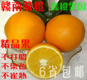 江西特产正宗赣南脐橙信丰安西甜橙子 新鲜水果 包邮江西特产