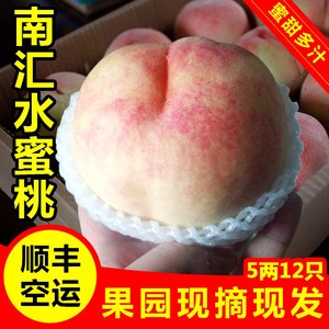 正宗南汇水蜜桃5两12只 新鲜水果空运特甜上海农家特产桃子秒阳山