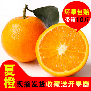 广西夏橙新鲜水果当季橙子批发非秭归伦晚赣南脐橙包邮带箱10斤新鲜橙子