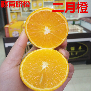 特产江西赣州脐橙新鲜孕妇榨汁水果 二月红酸甜橙子 20斤装包邮江西特产