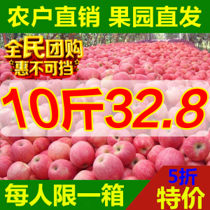 【今日特价】10斤陕西苹果水果吃的脆甜大现摘孕妇新鲜红富士整箱红富士新鲜水果