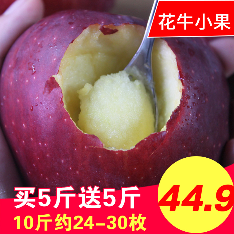 买一送一 共10斤花牛苹果粉苹果蛇果5斤天水新鲜水果粉面苹果小果