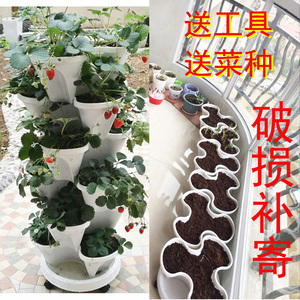 草莓花盆塑料图片
