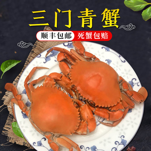 正宗三门 span class=h>青蟹 /span>大肉蟹红鲟大红膏母蟹野生螃蟹