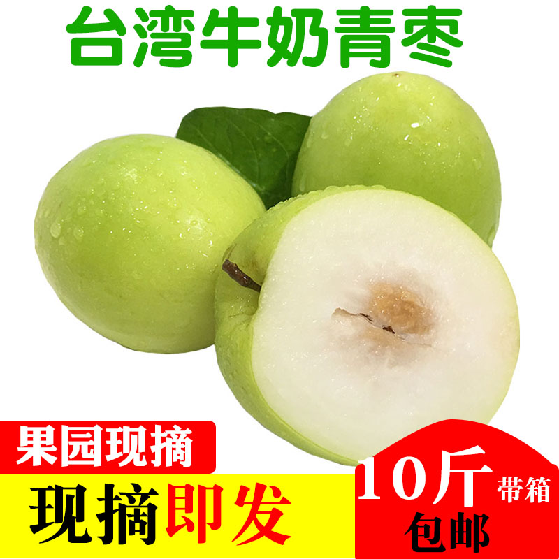 广西新鲜青枣牛奶枣水果包邮苹果枣10斤带箱中大个蜜丝枣台湾应季
