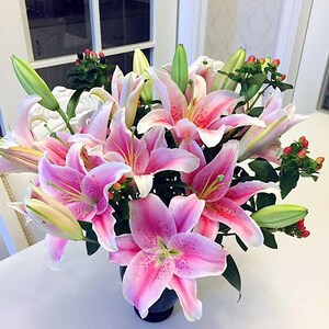 class=h></p></a>百合 /span>花 span class=h>鲜花 /span>花束水养花黄 span