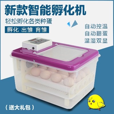 全自动家用小型鸡鸭鹅蛋鸽子苗鸽孵化器卵化器设备鸡蛋孵小鸡