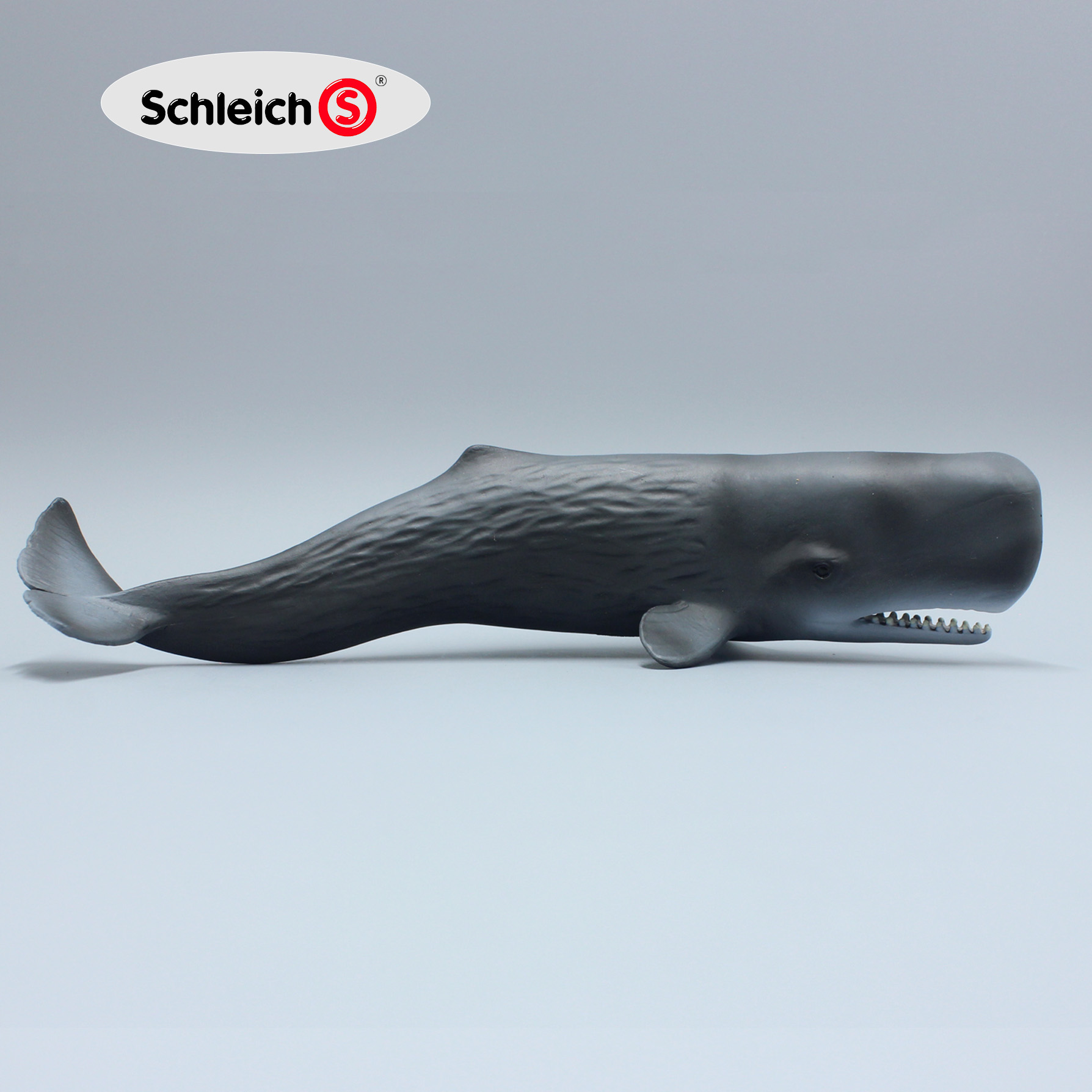 14764德国思乐schleich正版抹香鲸 鲸鱼海洋海底仿真动物模型玩具