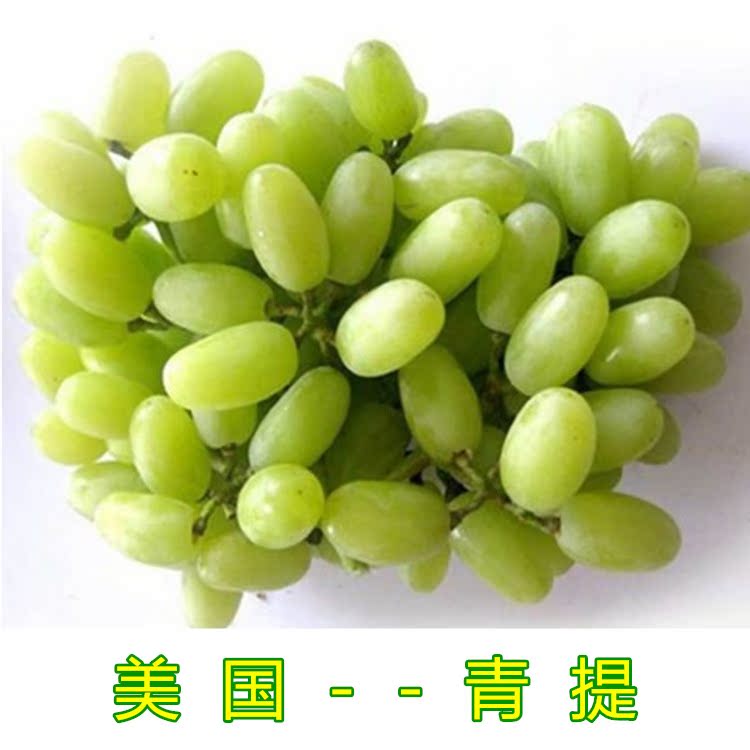 【京城果园】新鲜进口水果 美国靑提 绿葡萄 无核提子(2斤装)