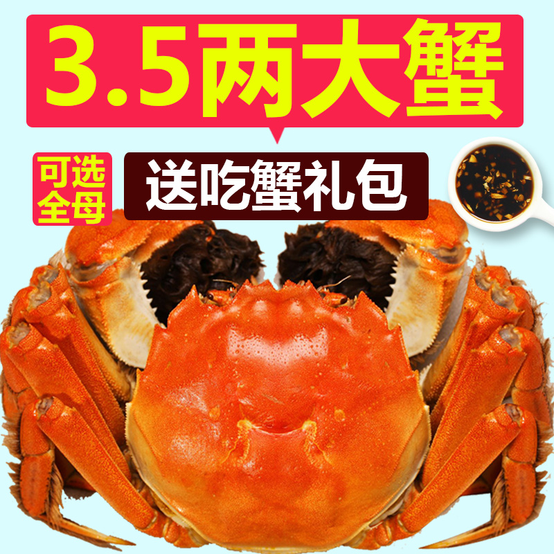 【买8送2】特大大闸蟹鲜活螃蟹公母对蟹可选全母蟹大小河蟹礼盒装